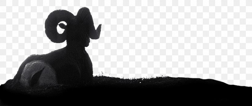 Mammal Black Silhouette White Snout, PNG, 960x404px, Mammal, Black, Black And White, Fur, Horn Download Free