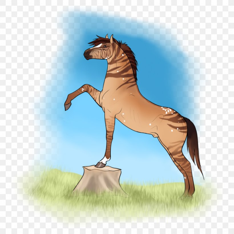 Mustang Foal Stallion Halter Fauna, PNG, 894x894px, Mustang, Cartoon, Colt, Fauna, Foal Download Free