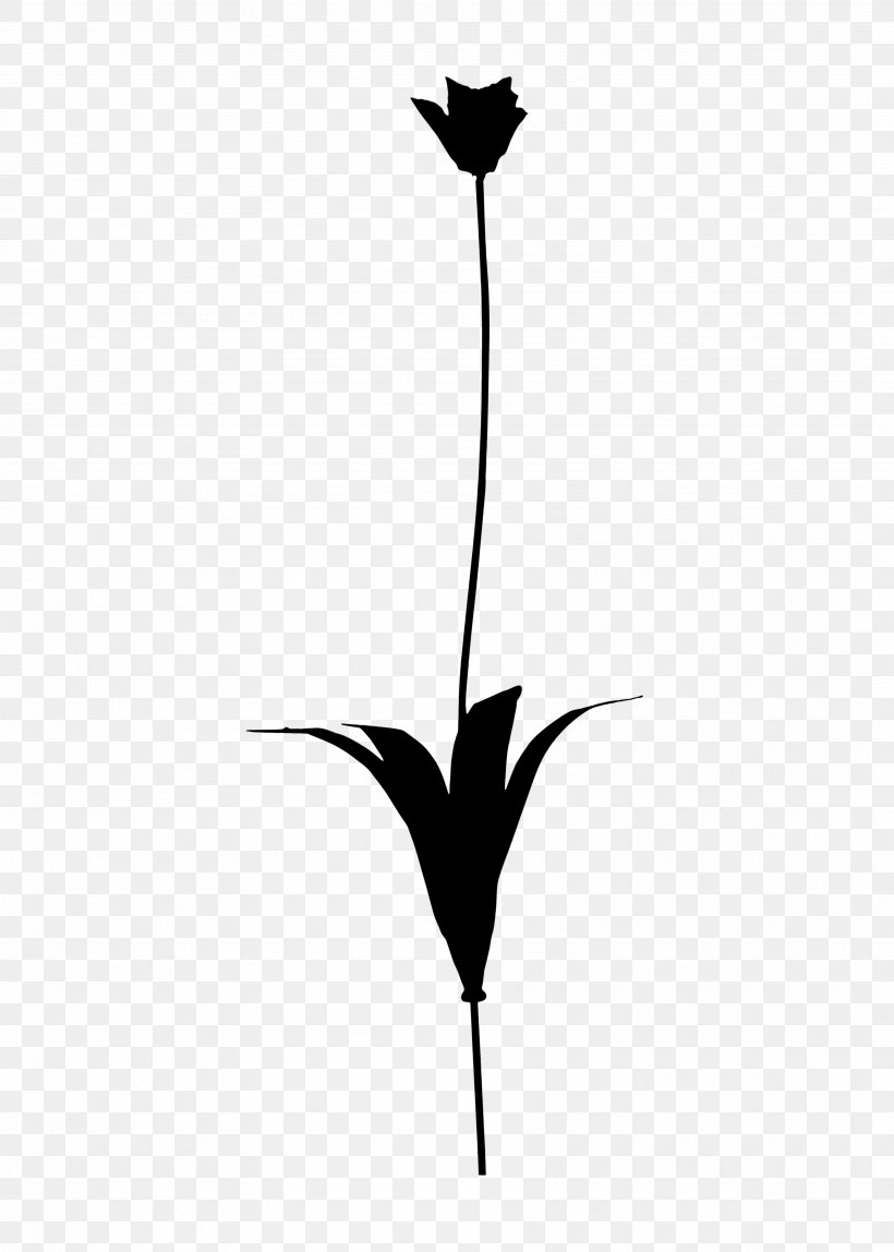 Twig Clip Art Plant Stem Flower Leaf, PNG, 3545x4963px, Twig, Anthurium, Blackandwhite, Botany, Flower Download Free
