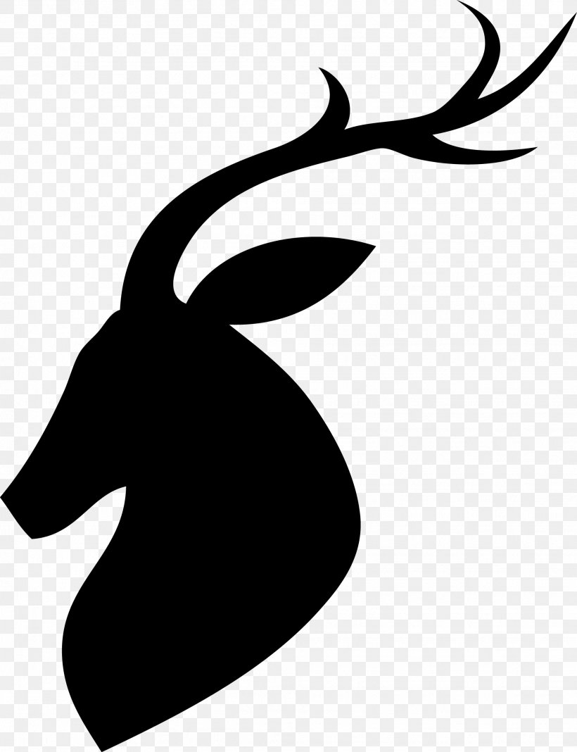 White-tailed Deer Reindeer, PNG, 1963x2558px, Deer, Antler, Art, Artwork, Beak Download Free