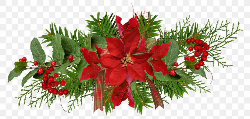 Christmas Ornament Flower Christmas Decoration Garland, PNG, 1600x764px, Christmas, Advent, Christmas Card, Christmas Decoration, Christmas Ornament Download Free