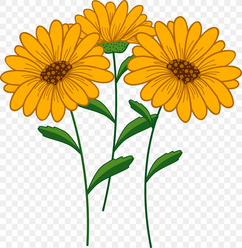 Common Sunflower Euclidean Vector Illustration, PNG, 1300x1334px, Common Sunflower, Annual Plant, Calendula, Chrysanths, Cut Flowers Download Free
