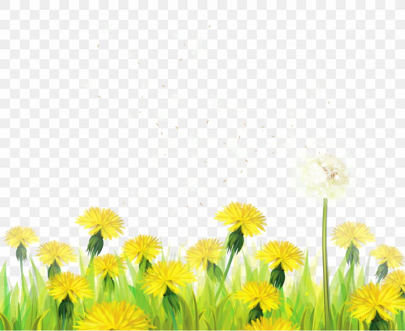 Dandelion Green Clip Art, PNG, 5000x4092px, Dandelion, Cartoon, Color, Daisy, Daisy Family Download Free