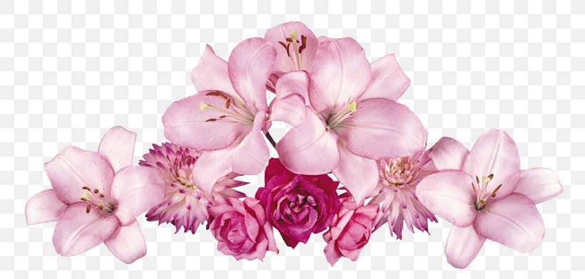 Flower Adobe Photoshop Clip Art Psd, PNG, 800x392px, Flower, Artificial Flower, Blossom, Branch, Cherry Blossom Download Free