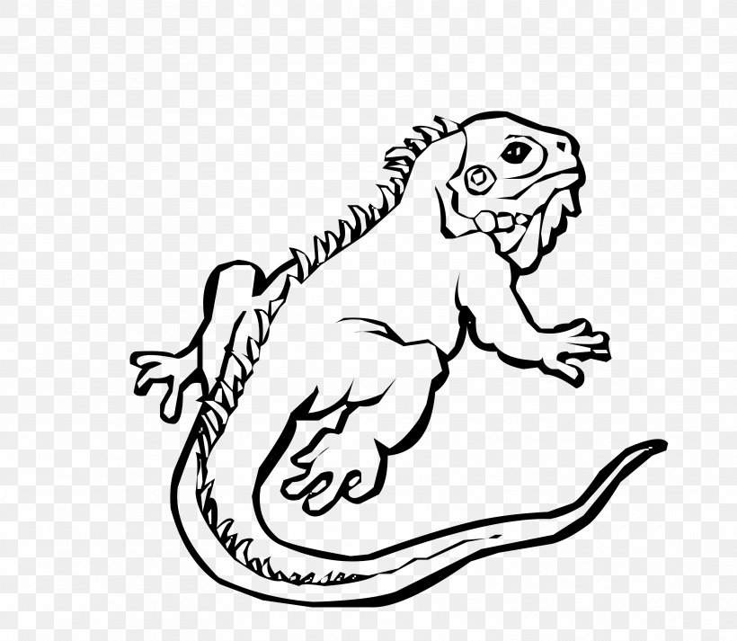 clipart lizard black and white