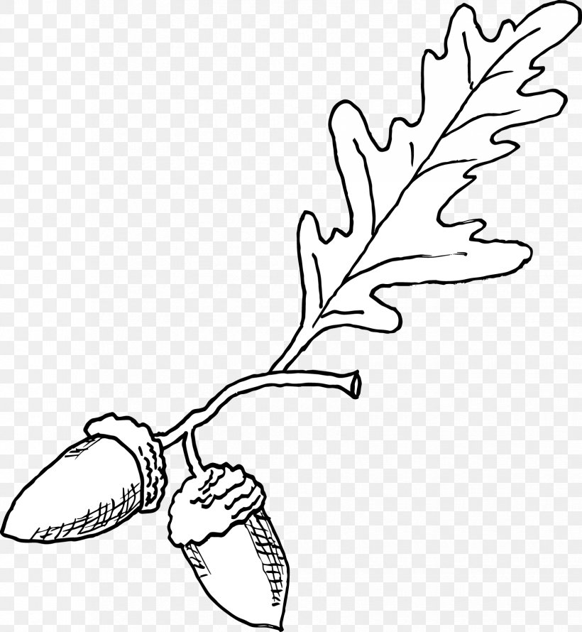 Line Art Plant Stem Cartoon Clip Art, PNG, 1650x1791px, Watercolor, Cartoon, Flower, Frame, Heart Download Free