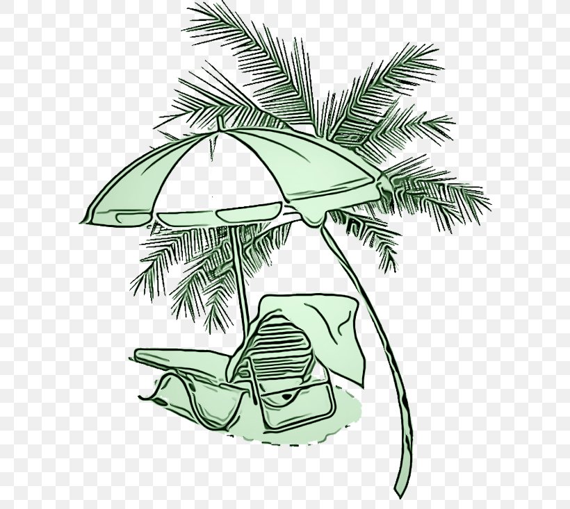 Palm Tree, PNG, 600x733px, Tree, Arecales, Coconut, Elaeis, Leaf Download Free