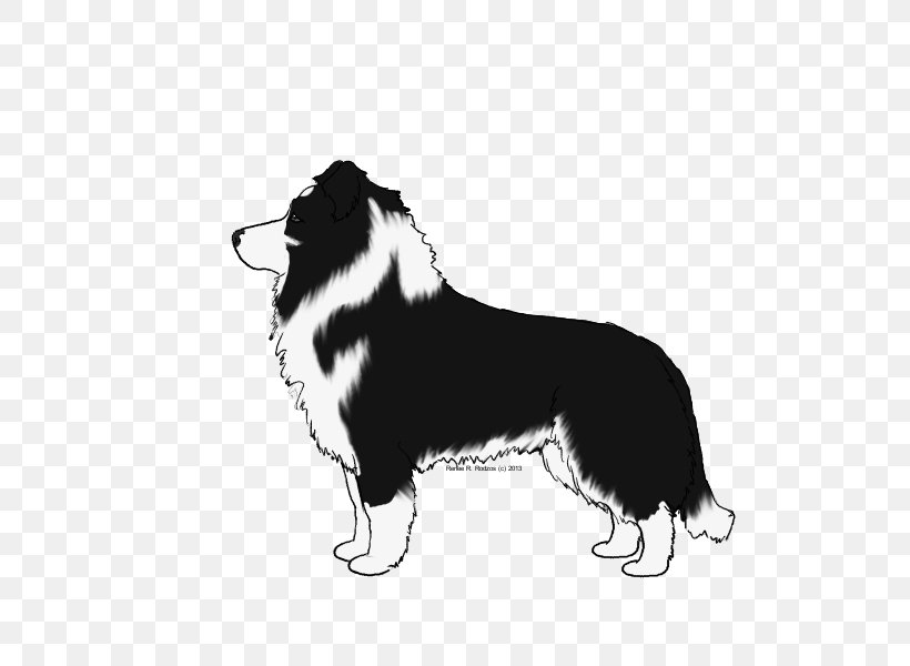 Border Collie Dog Breed Rough Collie Herding Dog /m/02csf, PNG, 800x600px, Border Collie, Australian Shepherd, Breed, Canidae, Carnivore Download Free