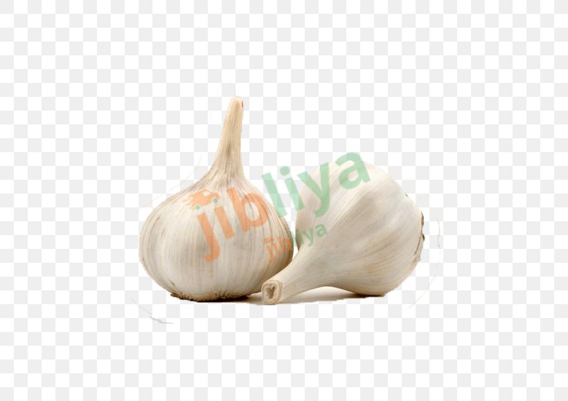 Elephant Garlic Alliaceae Vegetable Organic Food, PNG, 580x580px, Garlic, Alliaceae, Bag, Book, Elephant Garlic Download Free