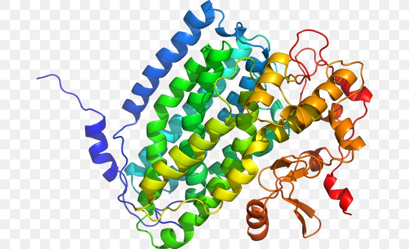 FNTA FNTB Farnesyltransferase Geranylgeranyltransferase Type 1 Enzyme, PNG, 674x500px, Watercolor, Cartoon, Flower, Frame, Heart Download Free