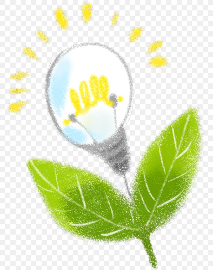 Incandescent Light Bulb Lighting, PNG, 776x1036px, Incandescent Light Bulb, Alternative Medicine, Bombilla, Branch, Computer Download Free