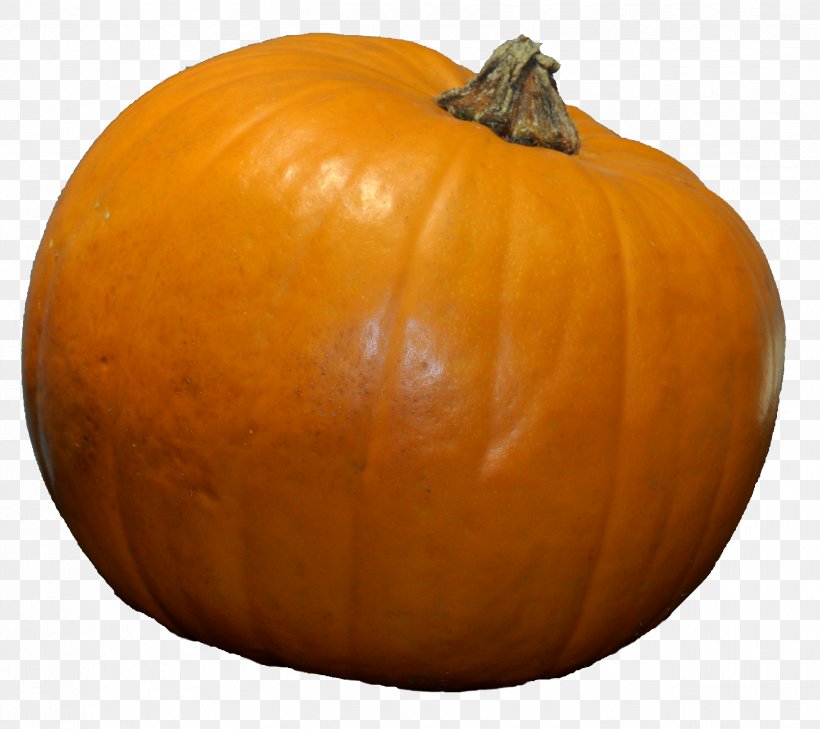 Jack-o'-lantern Pumpkin Gourd Winter Squash Cucurbita, PNG, 2497x2222px, Pumpkin, Apple, Calabaza, Calendar, Commodity Download Free