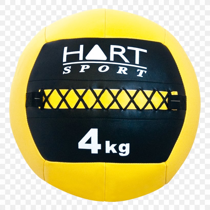 Volleyball Medicine Balls Polyurethane, PNG, 1000x1000px, Ball, Brand, Dodgeball A True Underdog Story, Foam, Football Download Free