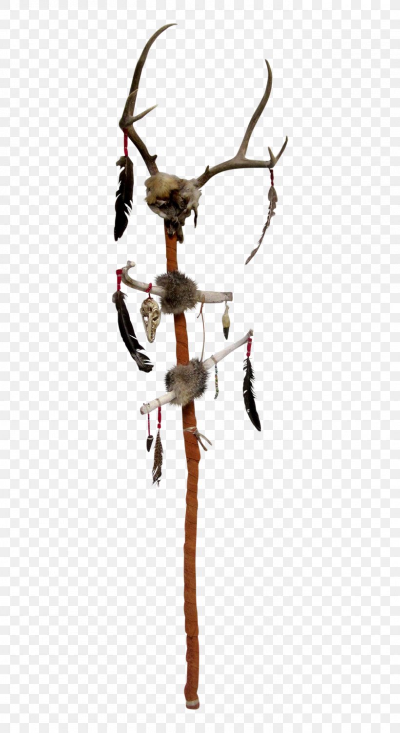 Walking Stick Native Americans In The United States Bastone, PNG, 1406x2572px, Walking Stick, Americans, Bastone, Cane, Ceremony Download Free