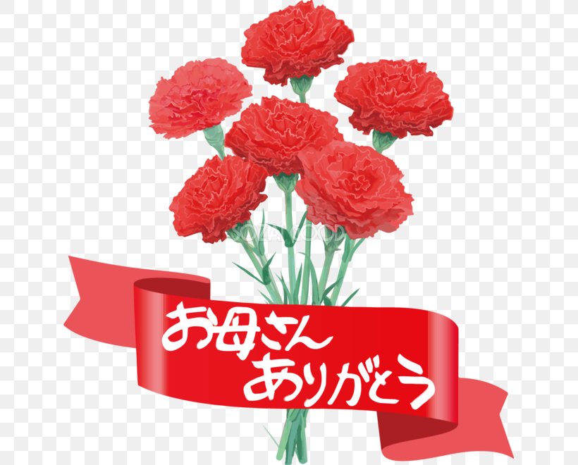 Carnation Garden Roses Mother's Day Floral Design Cut Flowers, PNG, 639x660px, Carnation, Annual Plant, Artificial Flower, Cut Flowers, Dianthus Download Free
