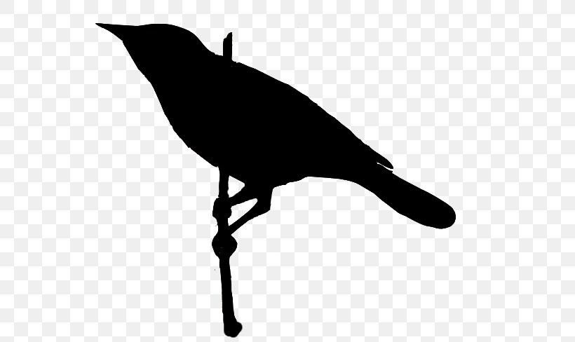 Guitar Picks Silhouette Strum, PNG, 600x488px, Guitar Picks, Beak, Bird, Black And White, Crow Download Free