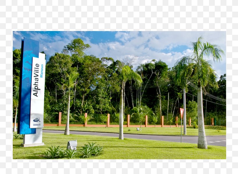 Landscaping Property Land Lot Urban Design Campus, PNG, 800x600px, Landscaping, Area, Campus, Grass, Land Lot Download Free