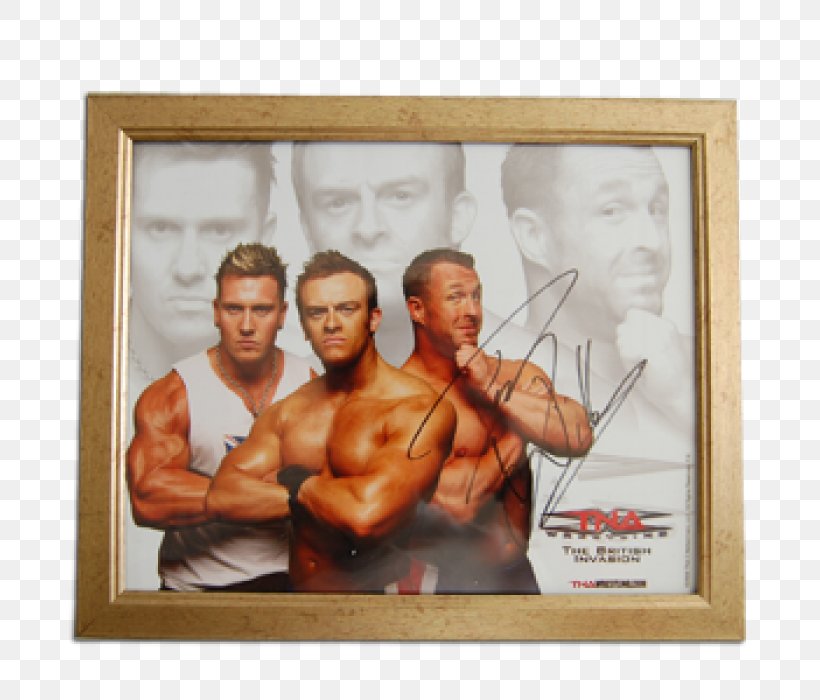 Picture Frames Poster Muscle Impact Wrestling, PNG, 700x700px, Watercolor, Cartoon, Flower, Frame, Heart Download Free