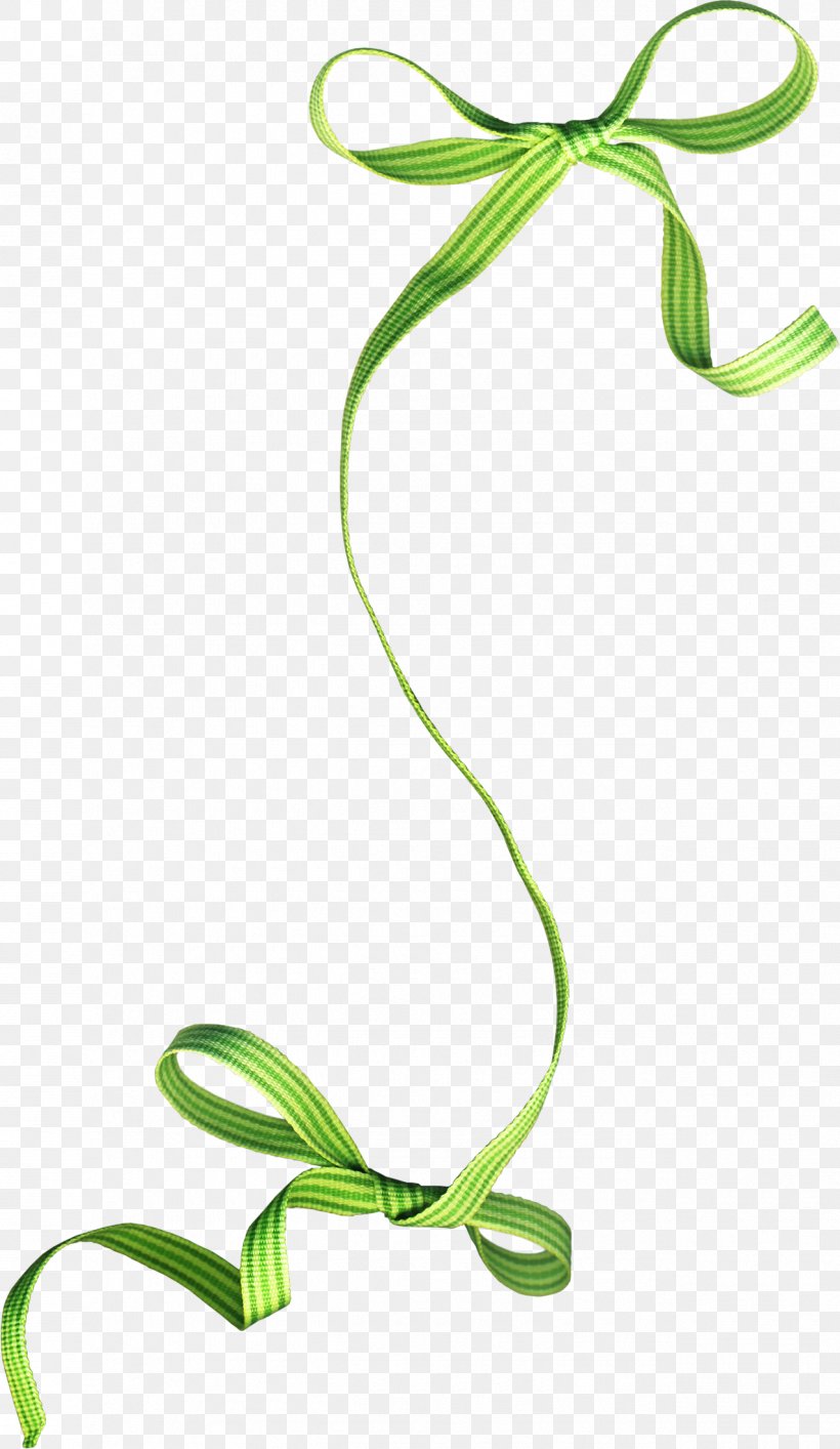 Ribbon Photography Shoelace Knot Clip Art, PNG, 1275x2200px, Ribbon, Blue Ribbon, Drawing, Flora, Flower Download Free