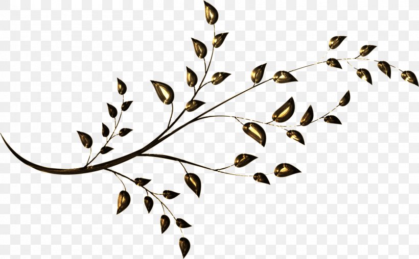 Twig Plant Stem Leaf Clip Art, PNG, 1513x939px, Twig, Black And White, Branch, Flora, Flower Download Free