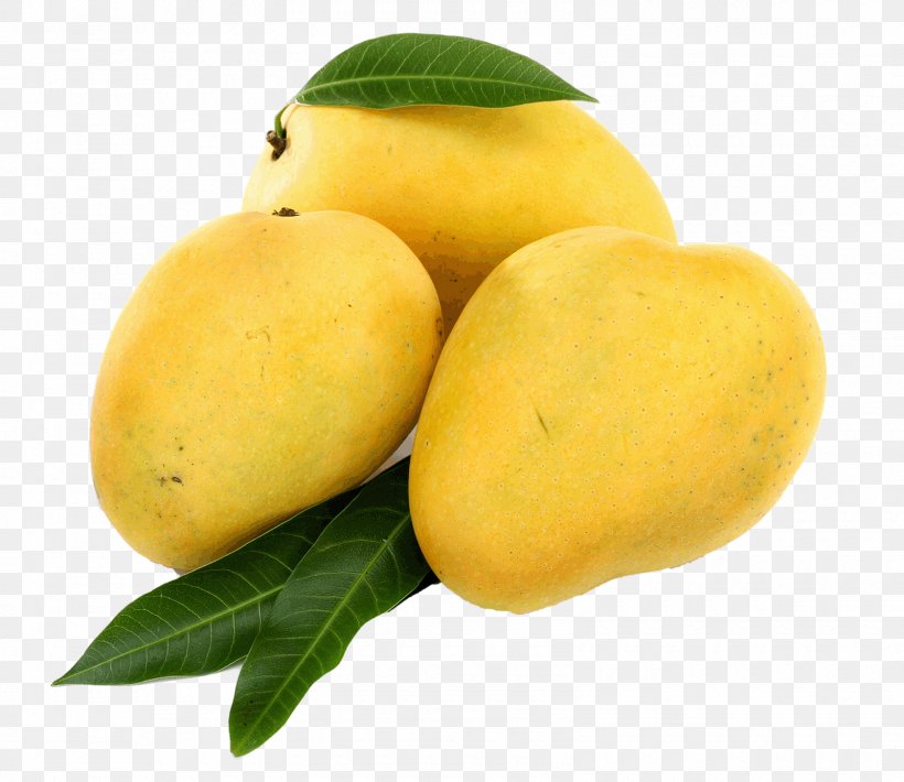 Banganapalle Juice Alphonso Benishan Mango, PNG, 1600x1387px, Banganapalle, Aamras, Alphonso, Benishan, Citron Download Free