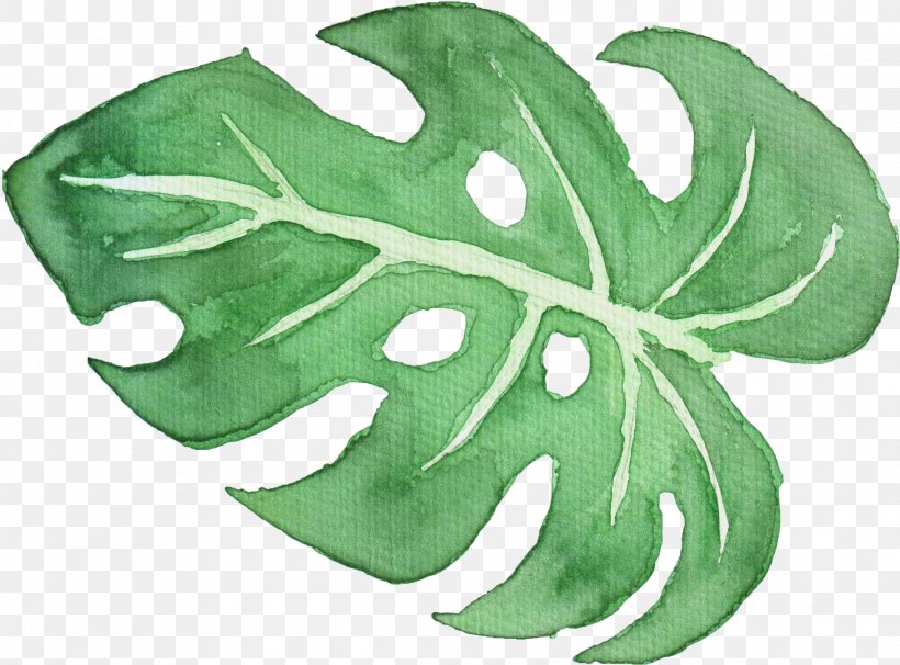 Green Leaf Watercolor, PNG, 2285x1691px, Watercolor Painting, Drawing, Green, Leaf, Painting Download Free