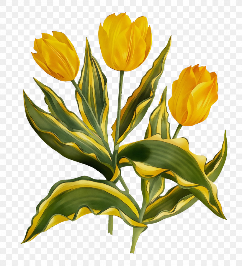 Artificial Flower, PNG, 1164x1280px, Watercolor, Artificial Flower, Chrysanthemum, Cut Flowers, Floral Design Download Free