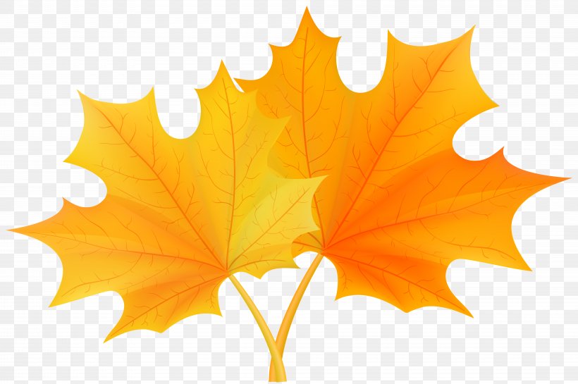 Autumn Leaf Color Clip Art, PNG, 8000x5321px, Autumn Leaf Color, Autumn, Birthday, Color, Easter Download Free