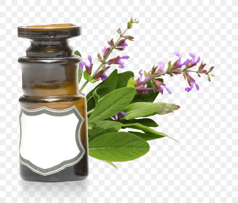 Clary Herb Essential Oil Rosemary, PNG, 700x700px, Clary, Babassu Oil, Bath Salts, Cananga Odorata, Common Sage Download Free