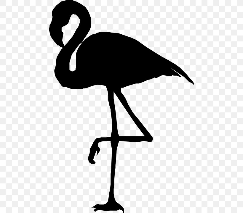 Clip Art Silhouette Flamingo, PNG, 490x720px, Silhouette, Art, Beak, Bird, Crane Download Free