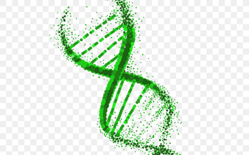 DNA Extraction Genetics Genetically Modified Organism, PNG, 512x512px, Dna, Data, Extraction, Genetic Testing, Genetically Modified Organism Download Free