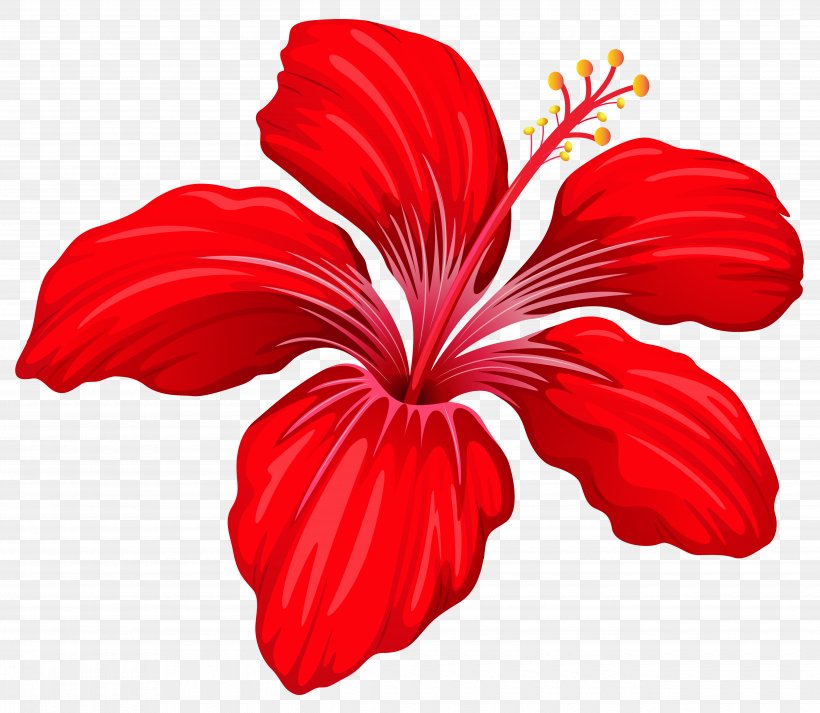 Flower Red Clip Art, PNG, 5165x4496px, Flower, Color, Flowering Plant, Hibiscus, Illustration Download Free
