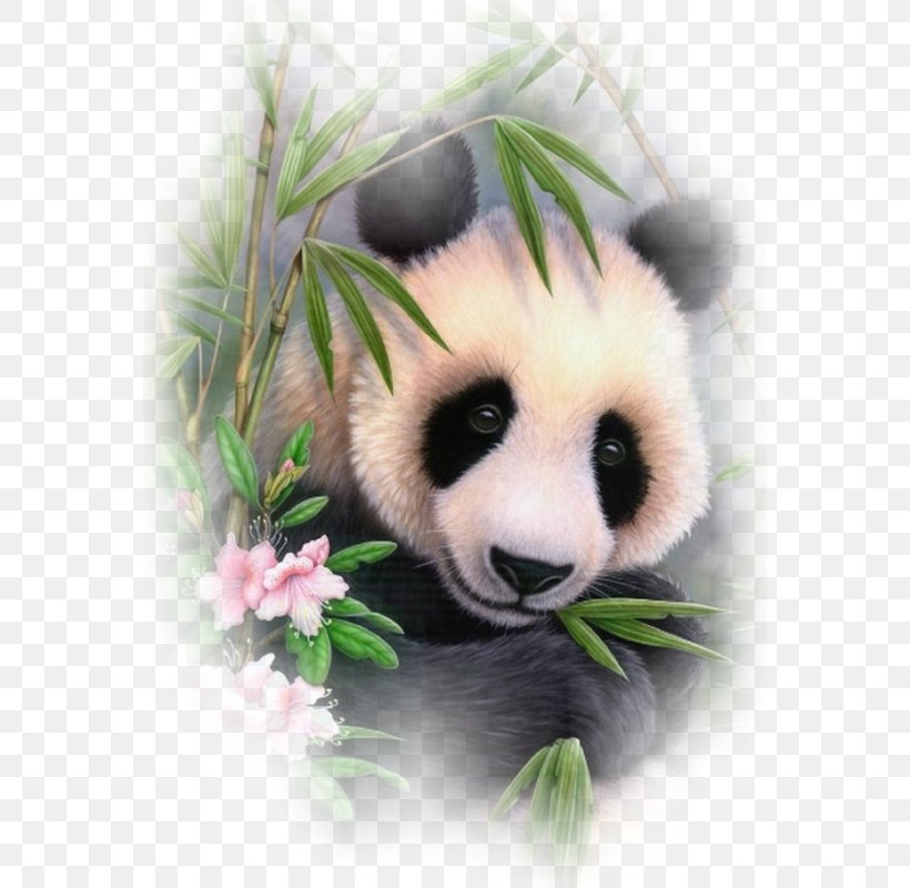 Giant Panda Bear Embroidery & Cross Stitch Cross-stitch, PNG, 562x800px, Giant Panda, Bead, Bear, Canvas, Carnivore Download Free