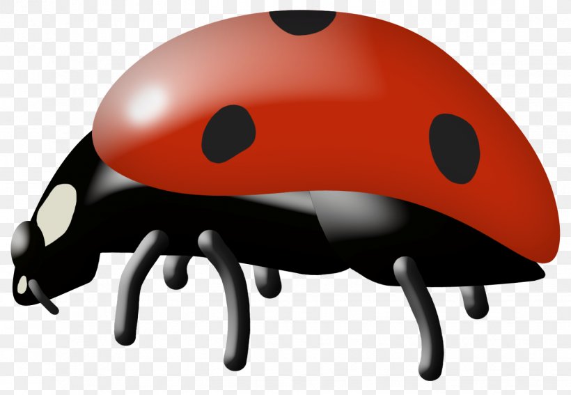 Insect Ladybird Cartoon Clip Art, PNG, 1429x989px, Insect, Beetle, Bicycle Helmet, Bicycles Equipment And Supplies, Cartoon Download Free
