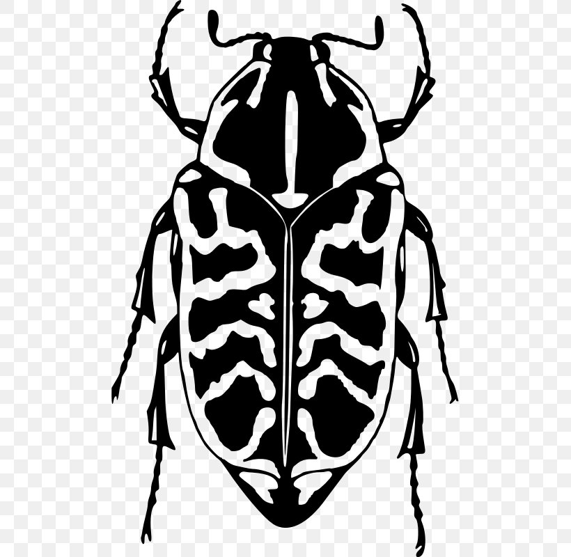 Ladybird Beetle Drawing Clip Art, PNG, 499x800px, Beetle, Black And White, Drawing, Fictional Character, Insect Download Free