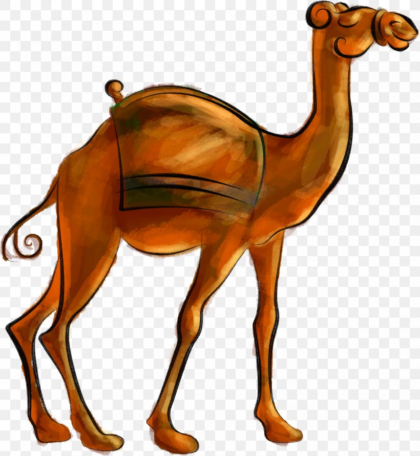 Camel Desert, PNG, 1546x1678px, Camel, Animal Figure, Arabian Camel, Camel Like Mammal, Desert Download Free
