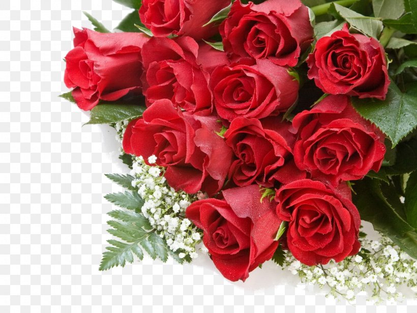 Desktop Wallpaper Rose Flower, PNG, 1280x960px, Rose, Artificial Flower, Cut Flowers, Display Resolution, Floral Design Download Free