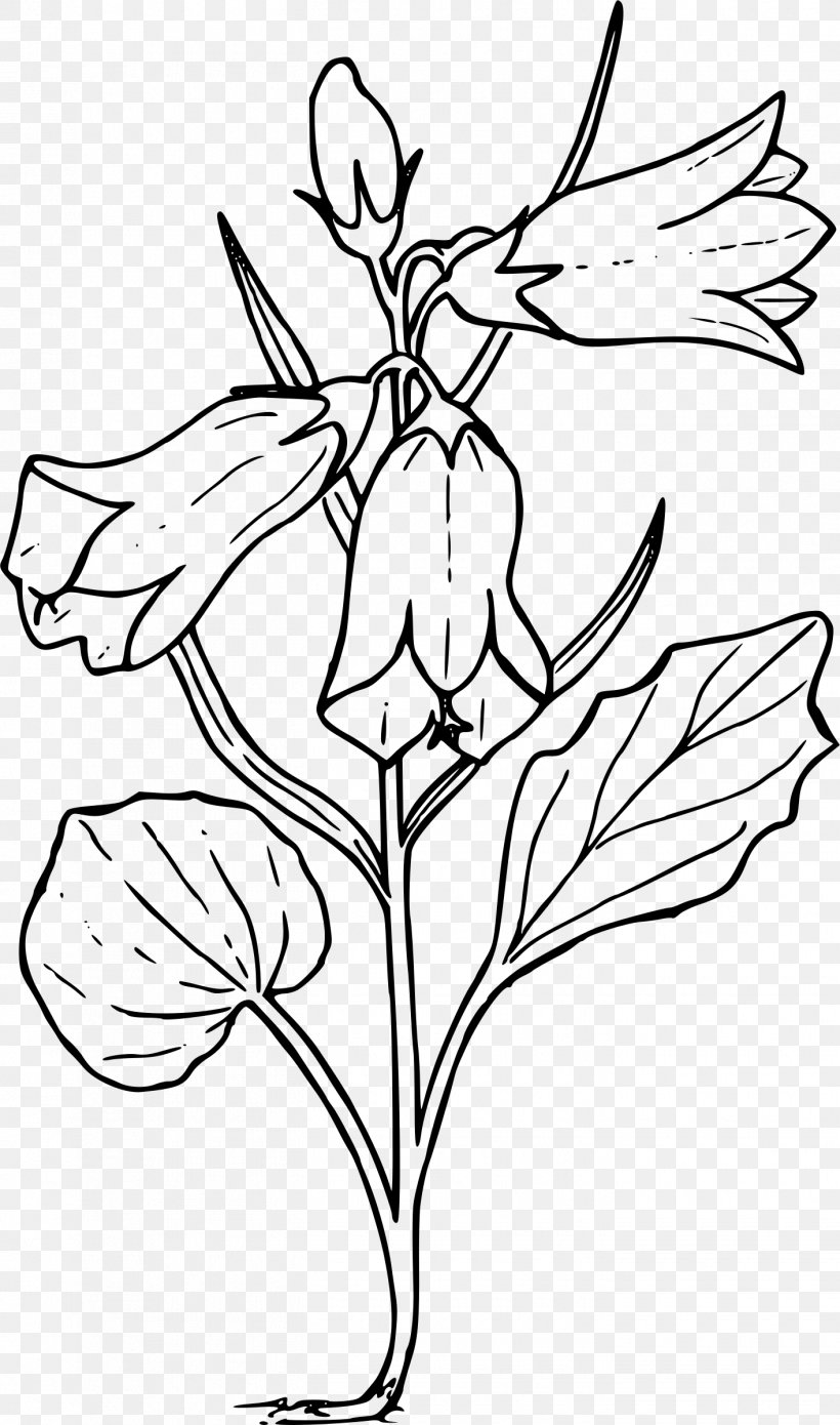 Drawing Clip Art, PNG, 1415x2400px, Drawing, Art, Artwork, Bellflowers, Black And White Download Free