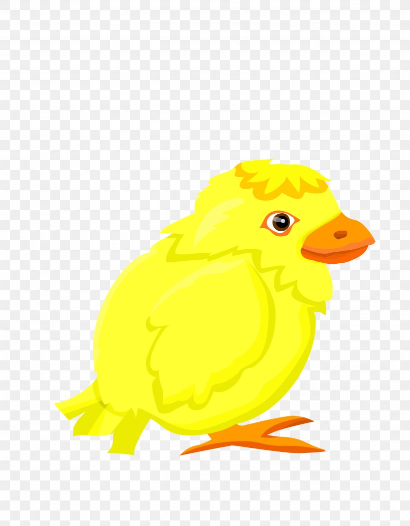 Duck Bubble Chicken Clip Art, PNG, 2596x3328px, Duck, Android, Art, Beak, Bird Download Free