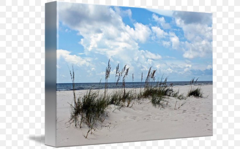 Gallery Wrap Picture Frames Wind Sand Canvas, PNG, 650x510px, Gallery Wrap, Art, Beach, Calm, Canvas Download Free