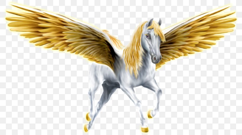 Horse Medusa Pegasus Winged Unicorn, PNG, 799x459px, Horse, Art, Beak, Bird, Feather Download Free