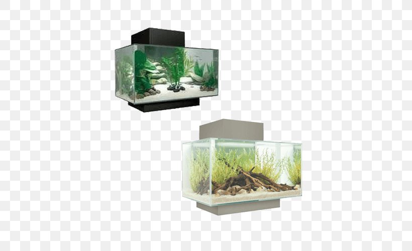 Aquariums Fluval Edge Nano Aquarium Aquarium Filters, PNG, 500x500px, Aquariums, Aquarium, Aquarium Filters, Aquatic Plants, Fish Download Free