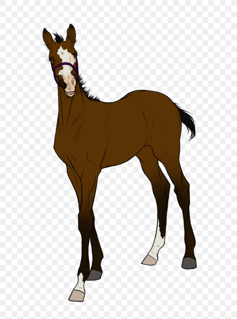Mule Foal Mustang Stallion Halter, PNG, 722x1107px, Mule, Colt, Deer, Donkey, Foal Download Free