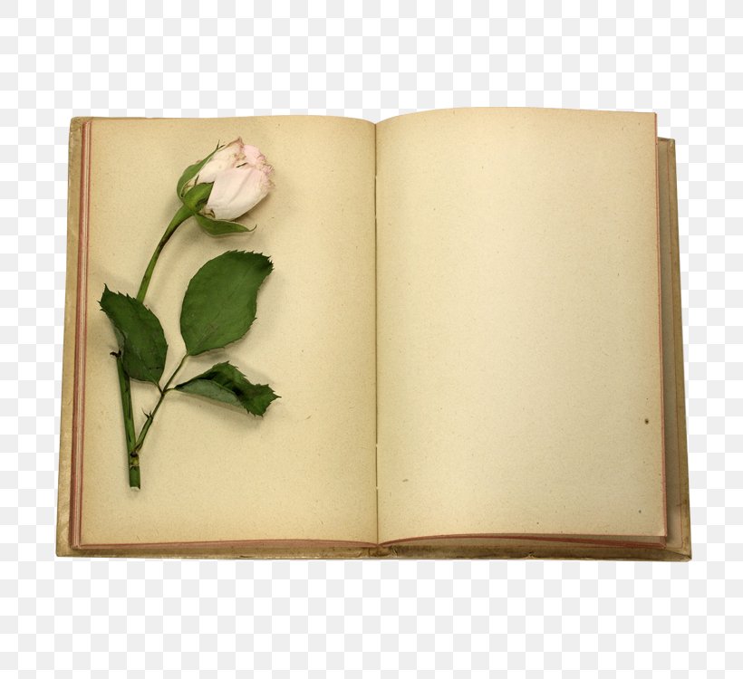 Book Rose Stock Photography Clip Art, PNG, 750x750px, Book, Flower, Fotosearch, Photography, Rectangle Download Free