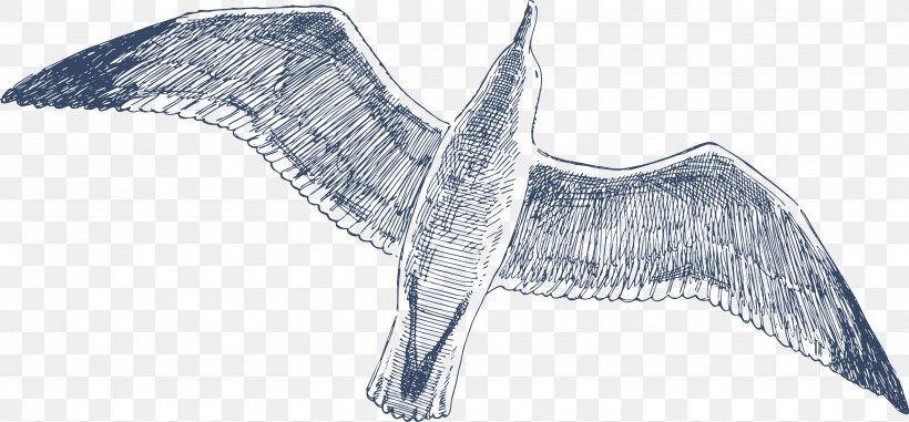 Drawing Bird Clip Art, PNG, 3386x1575px, Drawing, Animal Figure, Artwork, Beak, Bird Download Free