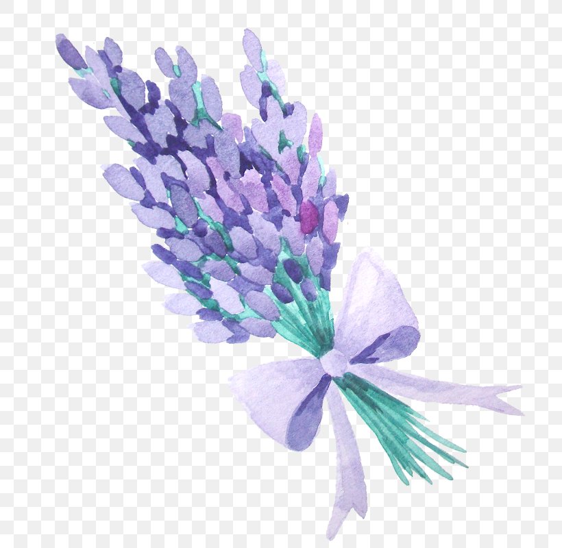 Lavender Flower Nosegay, PNG, 800x800px, Lavender, Channel, Color, Cut Flowers, Flower Download Free