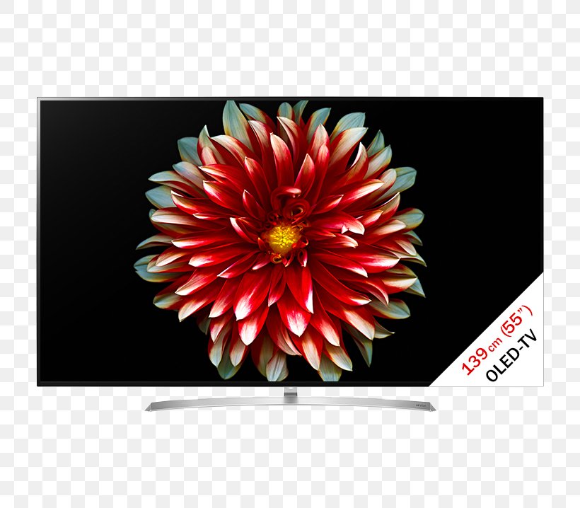 OLED 4K Resolution Smart TV Ultra-high-definition Television, PNG, 718x718px, 4k Resolution, Oled, Chrysanths, Dahlia, Daisy Family Download Free