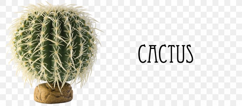 Reptile Terrarium Barrel Cactus Vivarium Exo Terra, PNG, 1000x440px, Reptile, Astrophytum Asterias, Barrel Cactus, Bearded Dragon, Cactaceae Download Free