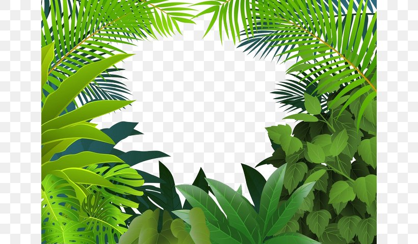Tropical Rainforest Jungle Tropics Clip Art, PNG, 658x480px, Tropical Rainforest, Arecales, Forest, Grass, Green Download Free