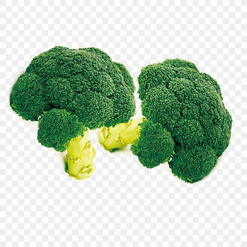 Broccoli Cabbage Vegetable Download, PNG, 1181x1181px, Vegetable, Bitter Melon, Broccoli, Child, Cognition Download Free